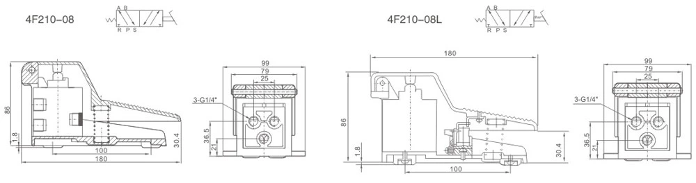 4F/FV Series Foot Valve