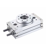 MSQ Series Rotary Cylinder